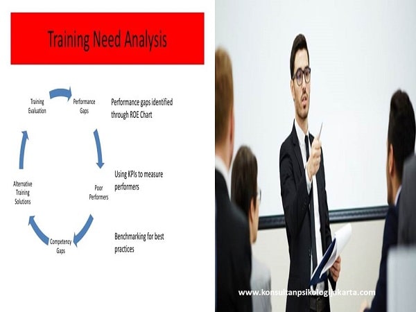 Training need analysis