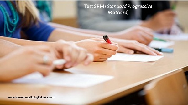 Test SPM (Standard Progressive Matrices)
