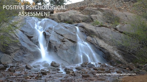 POSITIVE PSYCHOLOGICAL ASSESSMENT