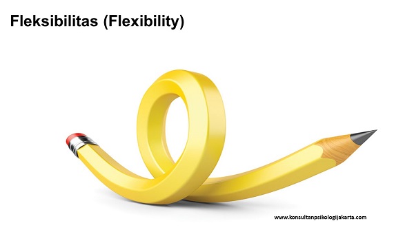 Fleksibilitas (Flexibility)
