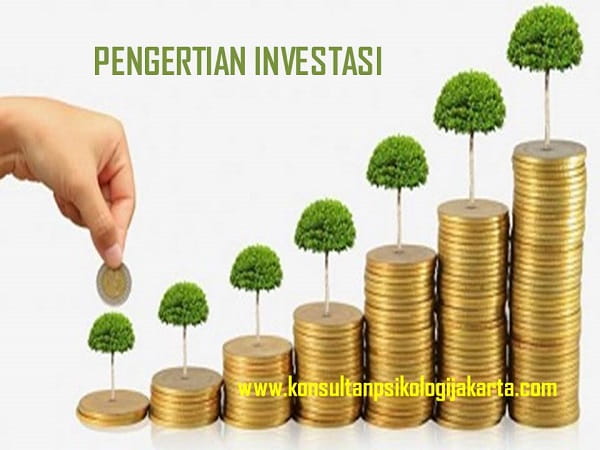 PENGERTIAN INVESTASI